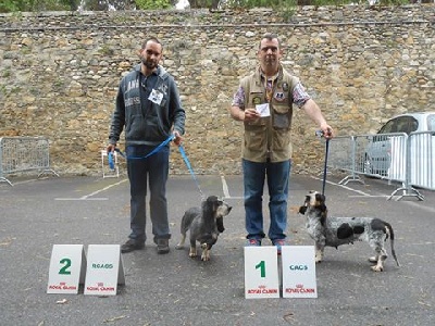 Les Hortes Du Riberal - nationale d 'elevage 2013